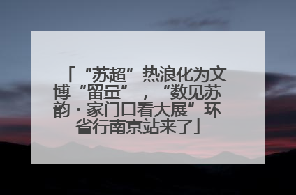“苏超”热浪化为文博“留量”，“数见苏韵・家门口看大展”环省行南京站来了