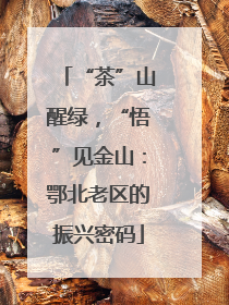 “茶”山醒绿，“悟”见金山：鄂北老区的振兴密码