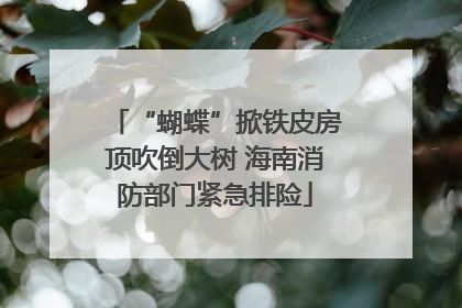 “蝴蝶”掀铁皮房顶吹倒大树 海南消防部门紧急排险