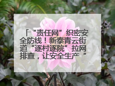 “责任网”织密安全防线！新泰青云街道“逐村逐院”拉网排查，让安全生产“无死角”