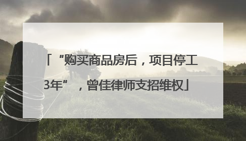 “购买商品房后，项目停工3年”，曾佳律师支招维权