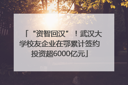 “资智回汉”！武汉大学校友企业在鄂累计签约投资超6000亿元