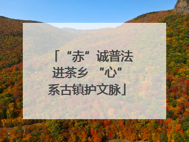 “赤”诚普法进茶乡 “心”系古镇护文脉