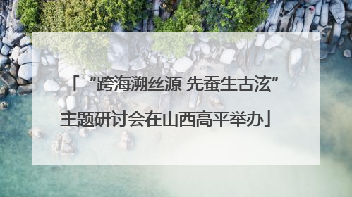 “跨海溯丝源 先蚕生古泫”主题研讨会在山西高平举办
