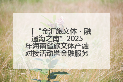 “金汇旅文体・融通海之南”2025年海南省旅文体产融对接活动暨金融服务中心成立仪式举行