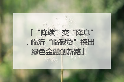 “降碳”变“降息”，临沂“临碳贷”探出绿色金融创新路