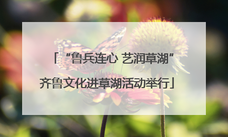 “鲁兵连心 艺润草湖”齐鲁文化进草湖活动举行