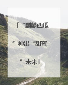 “麒麟西瓜”种出“甜蜜”未来