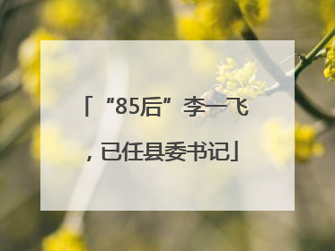 “85后”李一飞，已任县委书记