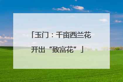 玉门：千亩西兰花开出“致富花”
