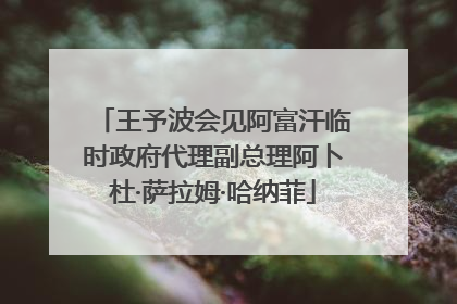 王予波会见阿富汗临时政府代理副总理阿卜杜·萨拉姆·哈纳菲