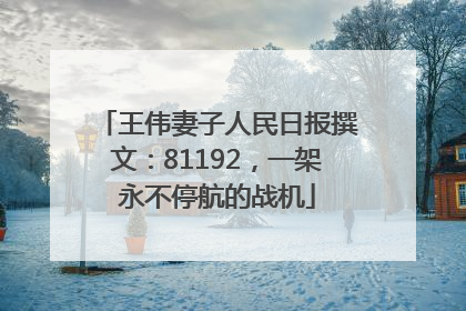 王伟妻子人民日报撰文：81192，一架永不停航的战机