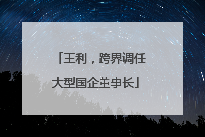 王利，跨界调任大型国企董事长