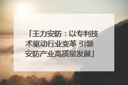 王力安防：以专利技术驱动行业变革 引领安防产业高质量发展