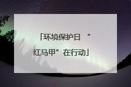环境保护日 “红马甲”在行动