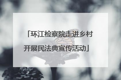 环江检察院走进乡村开展民法典宣传活动