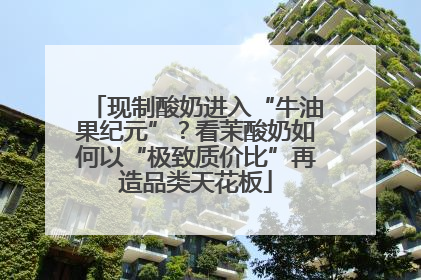 现制酸奶进入“牛油果纪元”？看茉酸奶如何以“极致质价比”再造品类天花板