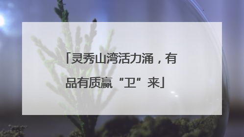 灵秀山湾活力涌，有品有质赢“卫”来