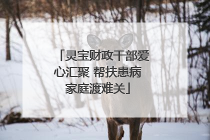 灵宝财政干部爱心汇聚 帮扶患病家庭渡难关