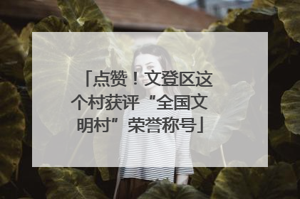 点赞！文登区这个村获评“全国文明村”荣誉称号