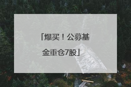爆买！公募基金重仓7股