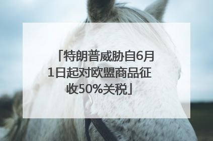特朗普威胁自6月1日起对欧盟商品征收50%关税