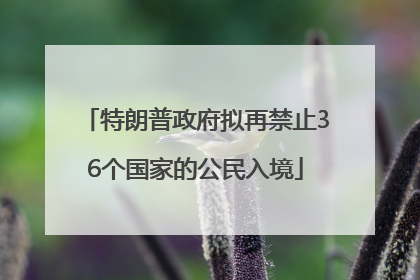 特朗普政府拟再禁止36个国家的公民入境