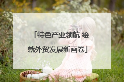 特色产业领航 绘就外贸发展新画卷