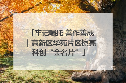 牢记嘱托 善作善成｜高新区华苑片区擦亮科创“金名片”