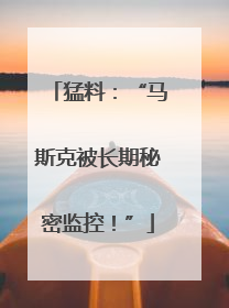 猛料：“马斯克被长期秘密监控！”