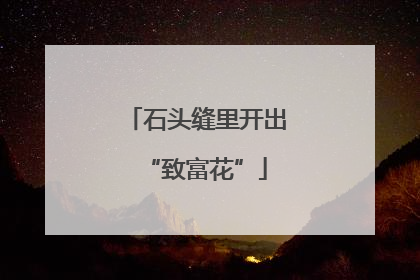石头缝里开出“致富花”