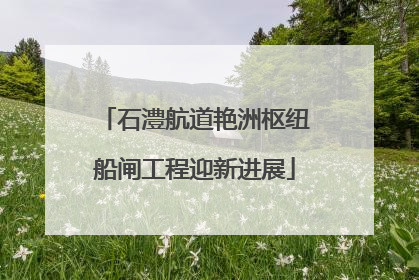 石澧航道艳洲枢纽船闸工程迎新进展
