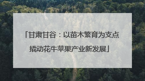 甘肃甘谷：以苗木繁育为支点 撬动花牛苹果产业新发展