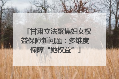 甘肃立法聚焦妇女权益保障新问题：多维度保障“她权益”