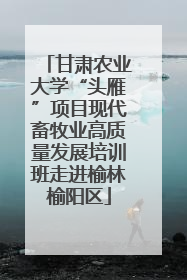 甘肃农业大学“头雁”项目现代畜牧业高质量发展培训班走进榆林榆阳区