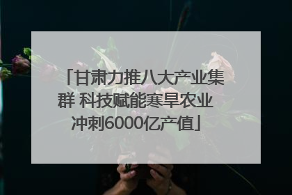 甘肃力推八大产业集群 科技赋能寒旱农业冲刺6000亿产值