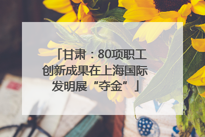 甘肃：80项职工创新成果在上海国际发明展“夺金”