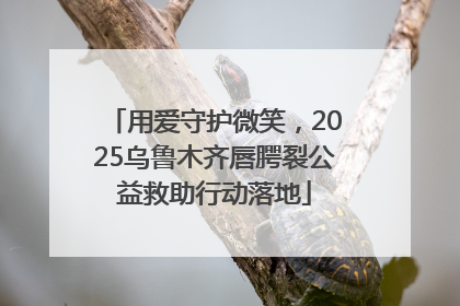 用爱守护微笑，2025乌鲁木齐唇腭裂公益救助行动落地