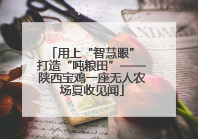 用上“智慧眼” 打造“吨粮田”——陕西宝鸡一座无人农场夏收见闻