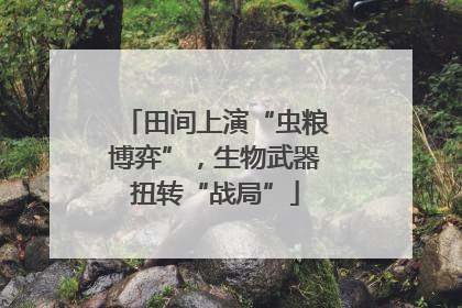 田间上演“虫粮博弈”，生物武器扭转“战局”