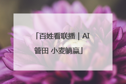 百姓看联播｜AI管田 小麦躺赢