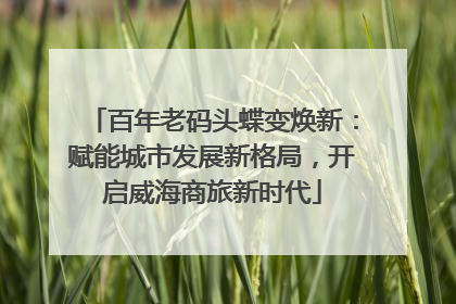 百年老码头蝶变焕新：赋能城市发展新格局，开启威海商旅新时代