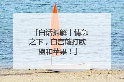 白话拆解丨情急之下，白宫敲打欧盟和苹果！