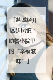 盐城经开区步凤镇：助餐小院里的“幸福滋味”