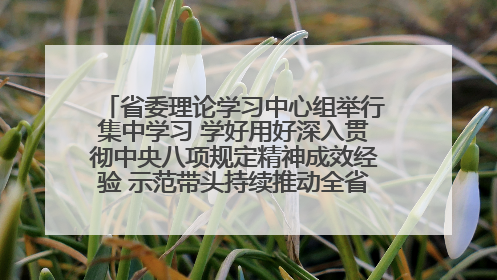 省委理论学习中心组举行集中学习 学好用好深入贯彻中央八项规定精神成效经验 示范带头持续推动全省学习教育走深走实