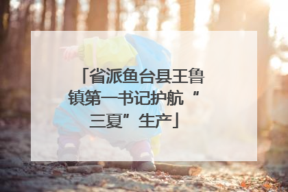 省派鱼台县王鲁镇第一书记护航“三夏”生产