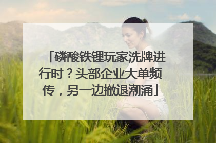磷酸铁锂玩家洗牌进行时？头部企业大单频传，另一边撤退潮涌