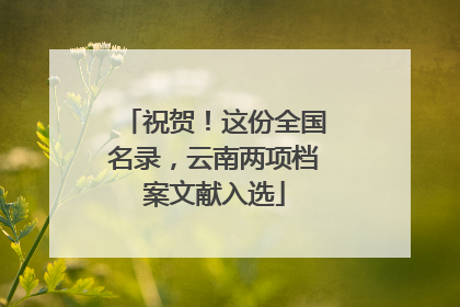 祝贺！这份全国名录，云南两项档案文献入选