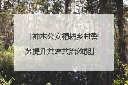 神木公安精耕乡村警务提升共建共治效能
