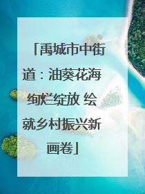 禹城市中街道：油葵花海绚烂绽放 绘就乡村振兴新画卷